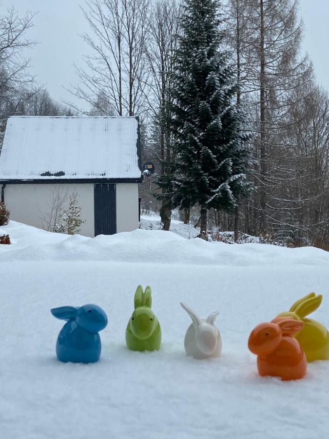 Cerla Korbielow - Domek Dla Dwojga Екстер'єр фото